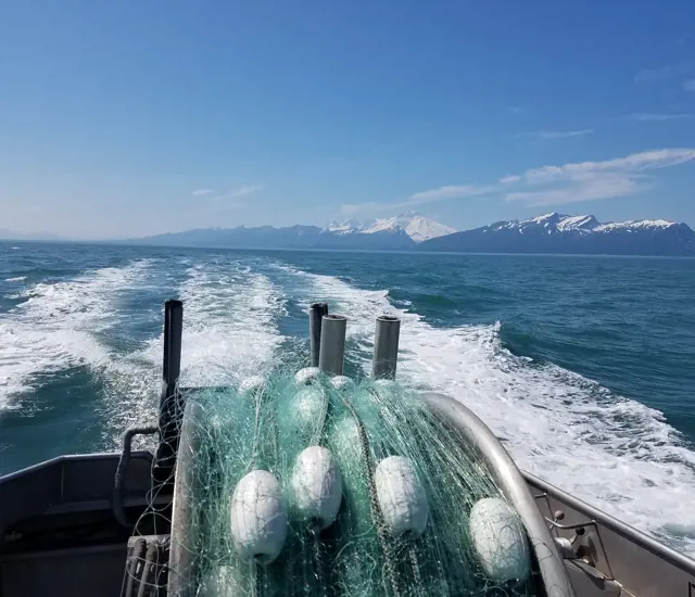 202004 A Beautiful Cook Inlet Day 244431628